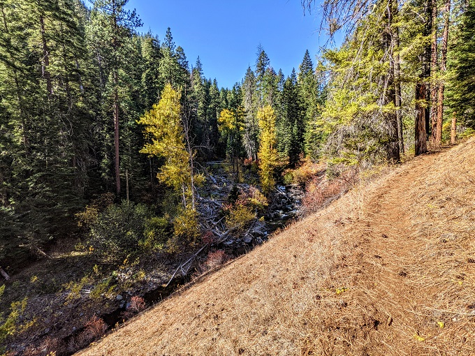 Lake Fork Creek trail, Oregon