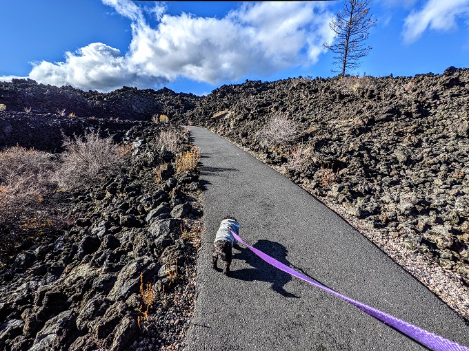 Pet-friendly Newberry National Volcanic Monument