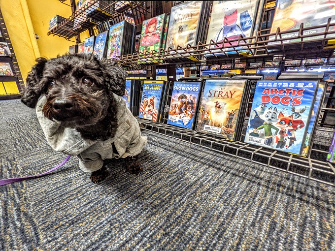 Truffles with some of her favorite movies