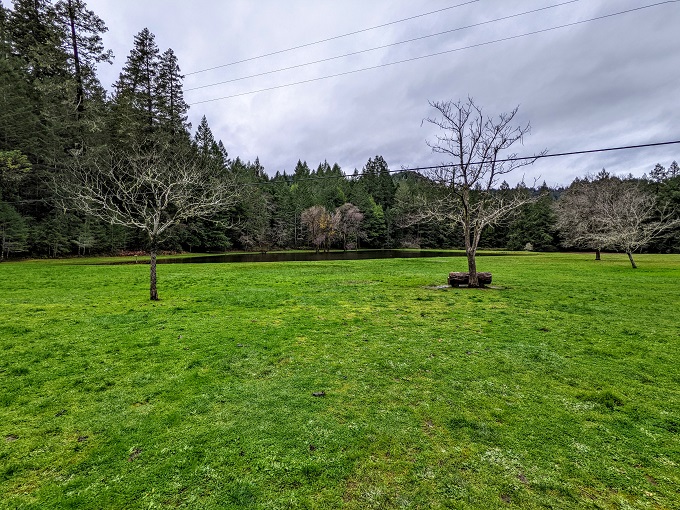 Pond at Drive-Thru Tree Park