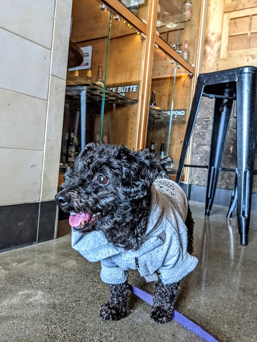 Truffles at pet-friendly Deschutes Brewery Bend Tasting Room