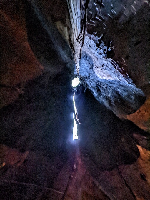 Looking up through the Chimney Tree