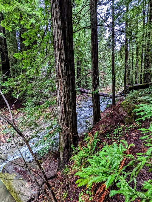 South Fork Eel River