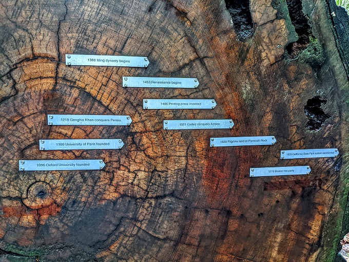 Tree rings from notable moments of history