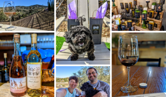 5 Great Pet-Friendly Wineries In Temecula, CA
