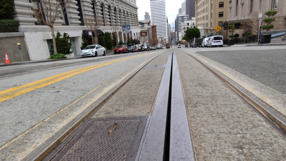 are dogs allowed on cable cars in san francisco