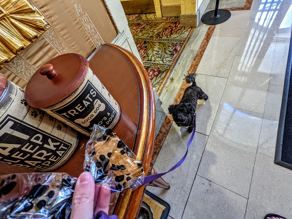 InterContinental Mark Hopkins San Francisco - Dog treats in the lobby