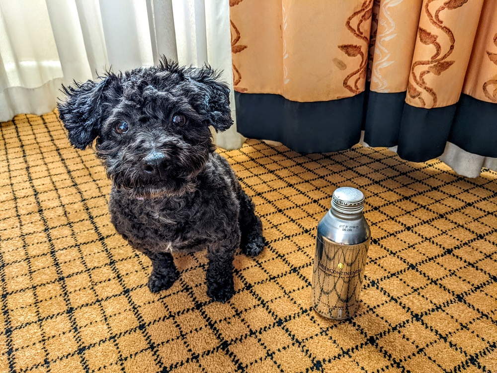 InterContinental Mark Hopkins San Francisco - Truffles staying hydrated with InterContinental-branded water bottles