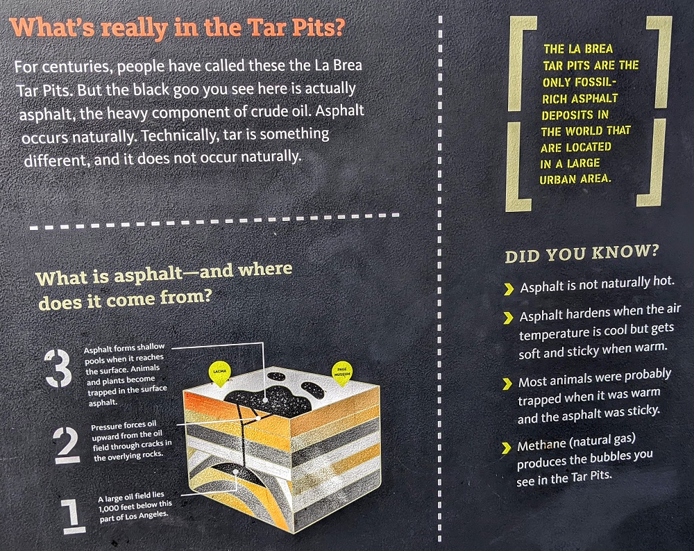 Why the tar pits aren't really tar pits