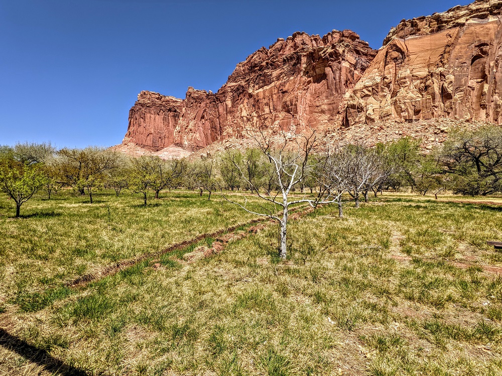 Capitol Reef National Park historic orchards