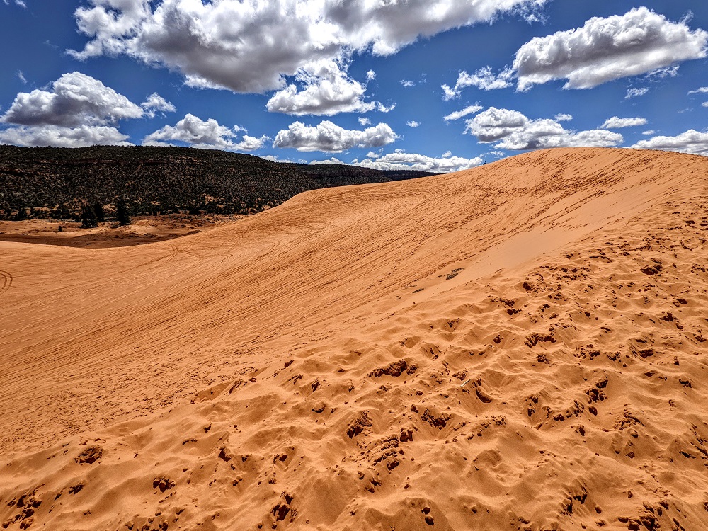 Coral Pink Sand Dunes State Park - Our tallest sand dune