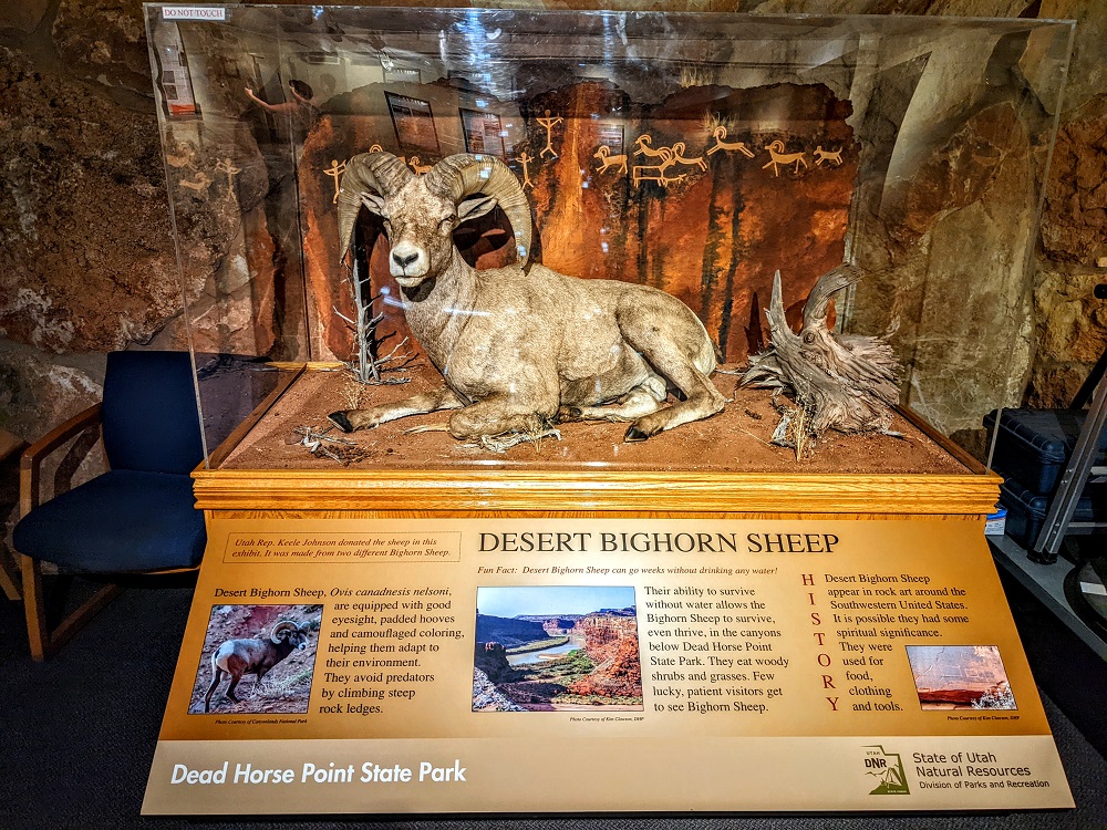 Exhibit in the museum section