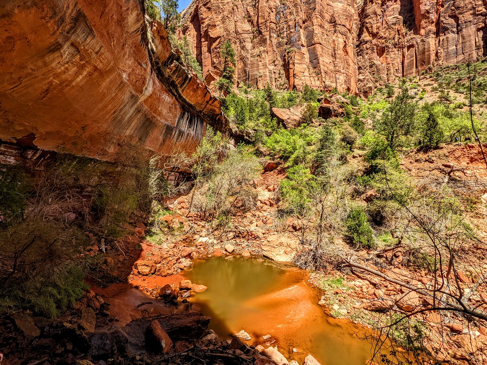 Lower Emerald Pool in Zion National Park