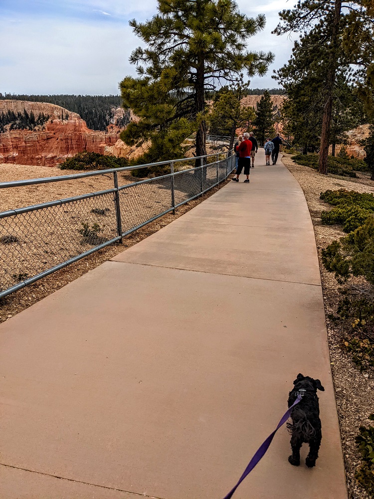 Bryce Canyon National Park - Path leading to Paria View