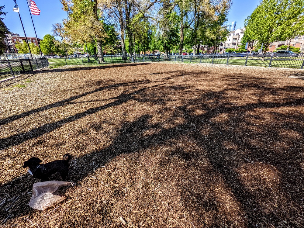 Pioneer Dog Park in downtown Salt Lake City, UT