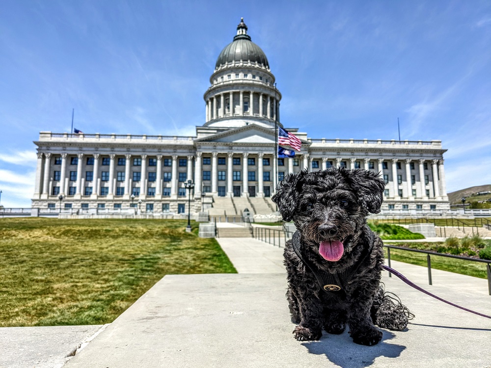 Truffles outside the Utah State Capitol building