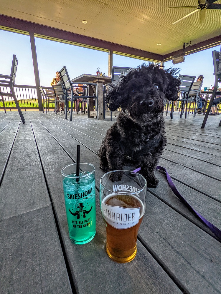 Pet-friendly Kincaider Brewing Co