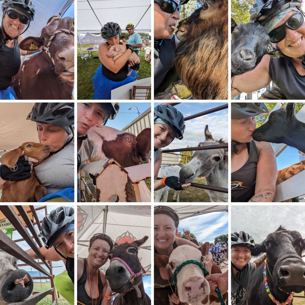 Farm Animal Photo Collage