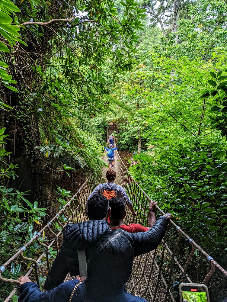 Lost Gardens of Heligan - Rope bridge across The Jungle