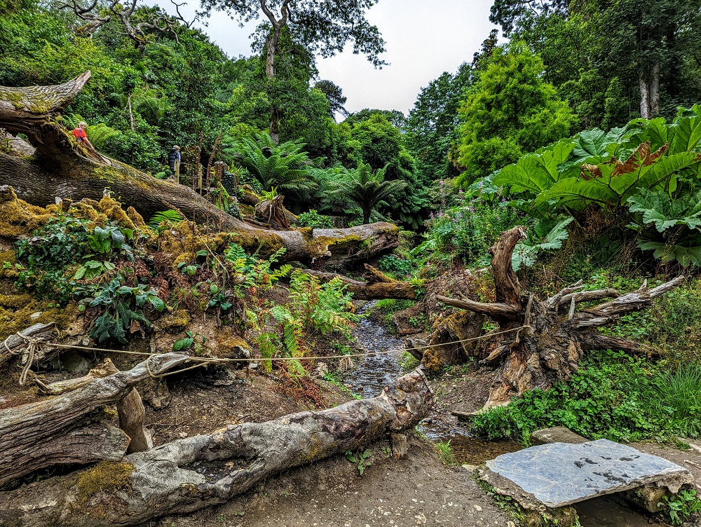 The Jungle section of the Lost Gardens of Heligan