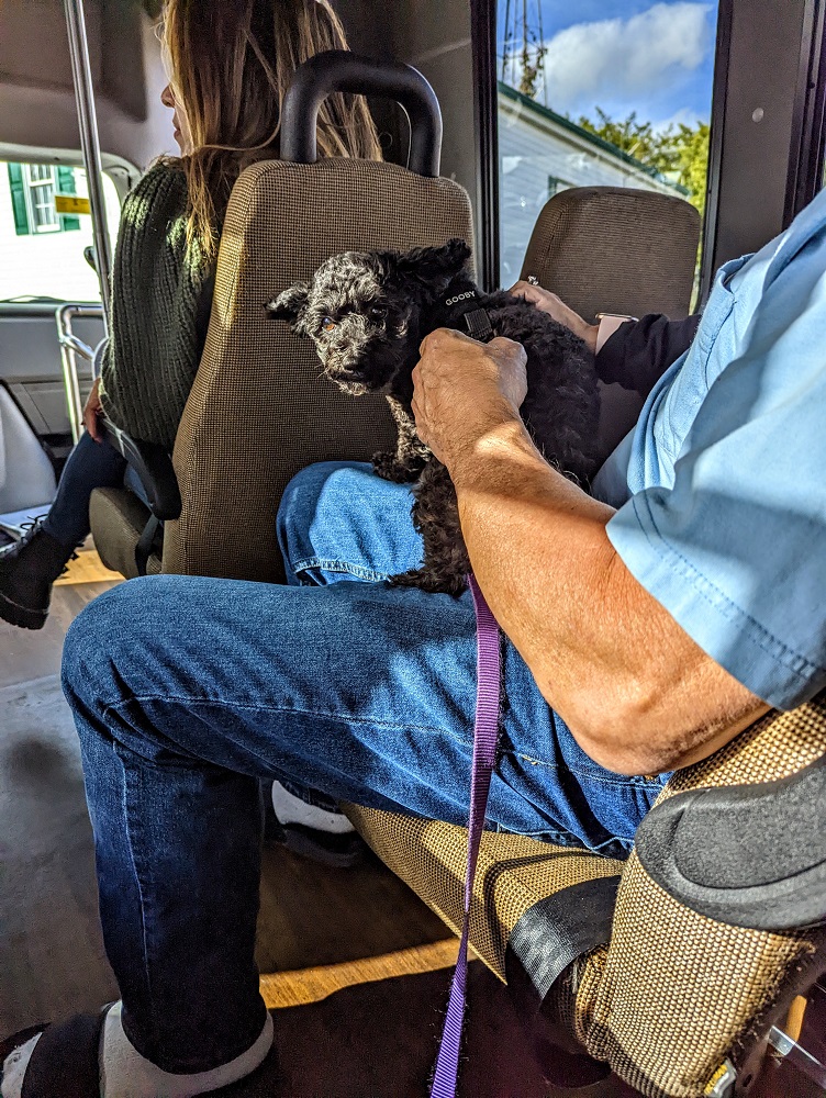 Pet-friendly Amish Farm & House bus tour