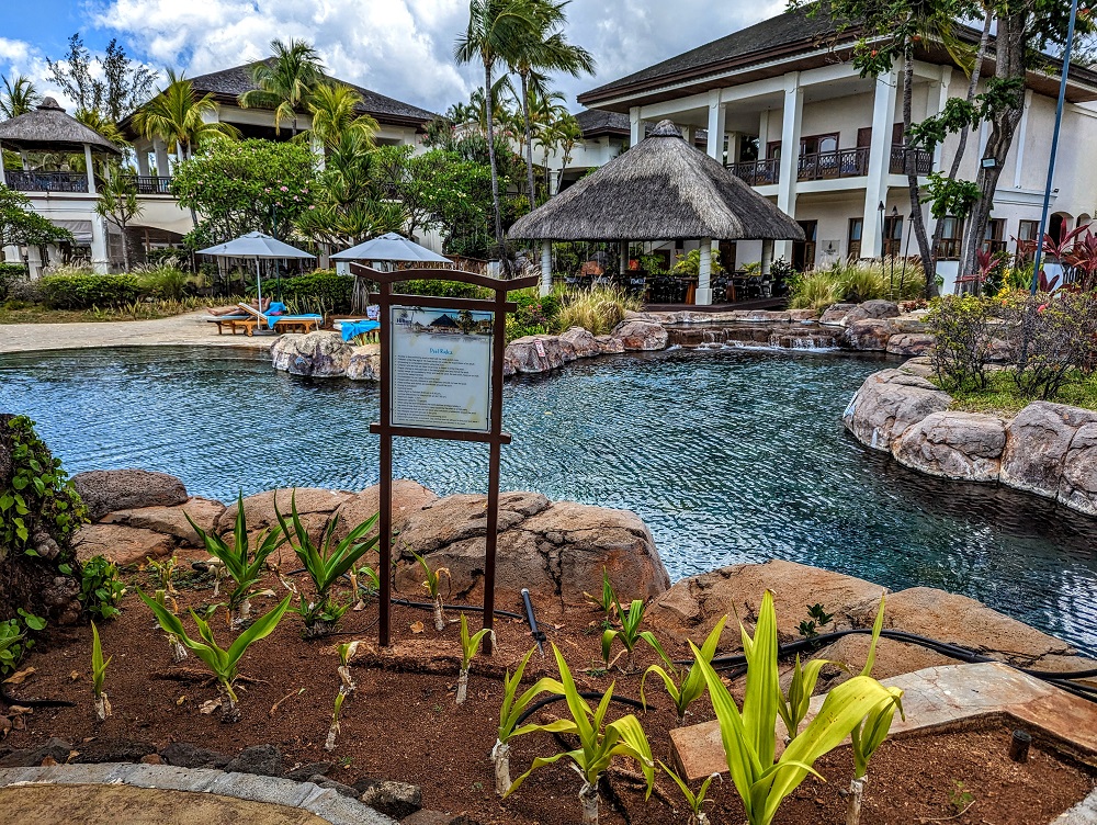 Hilton Mauritius Resort & Spa - Family pool 1