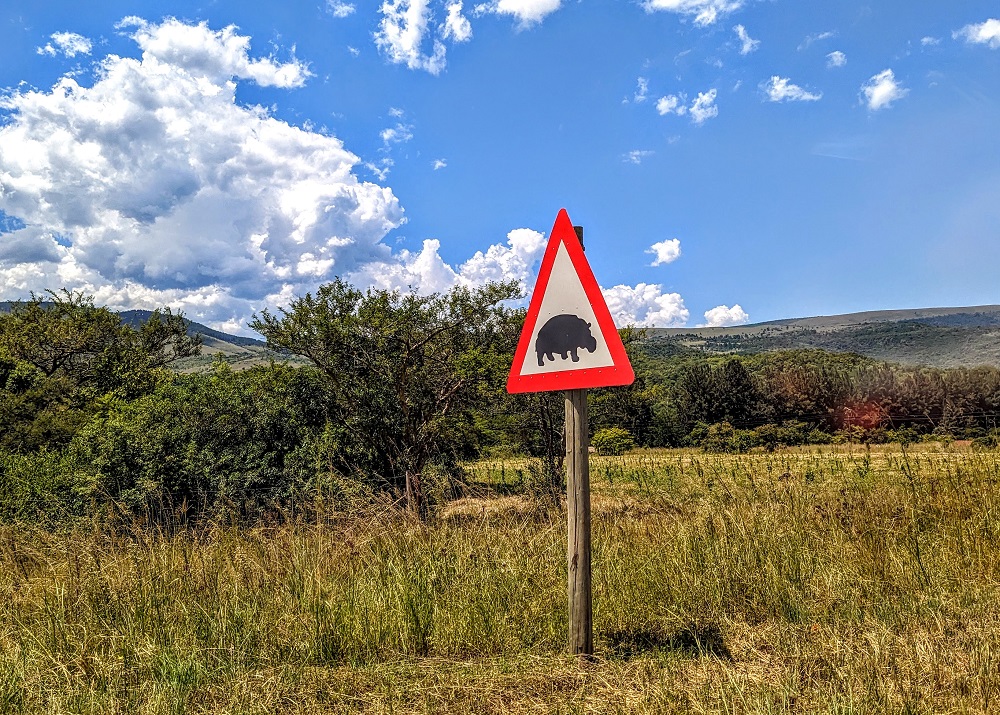 Hippo warning road sign