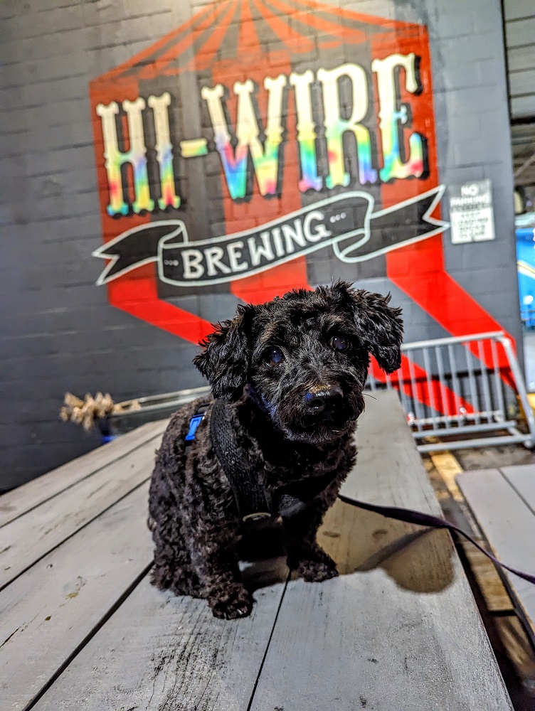 Truffles at Hi-Wire Brewing in Asheville, NC