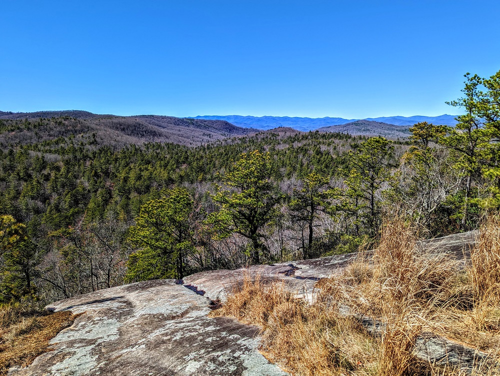 View from the Big Rock Trail at Dupont State Recreational Forest