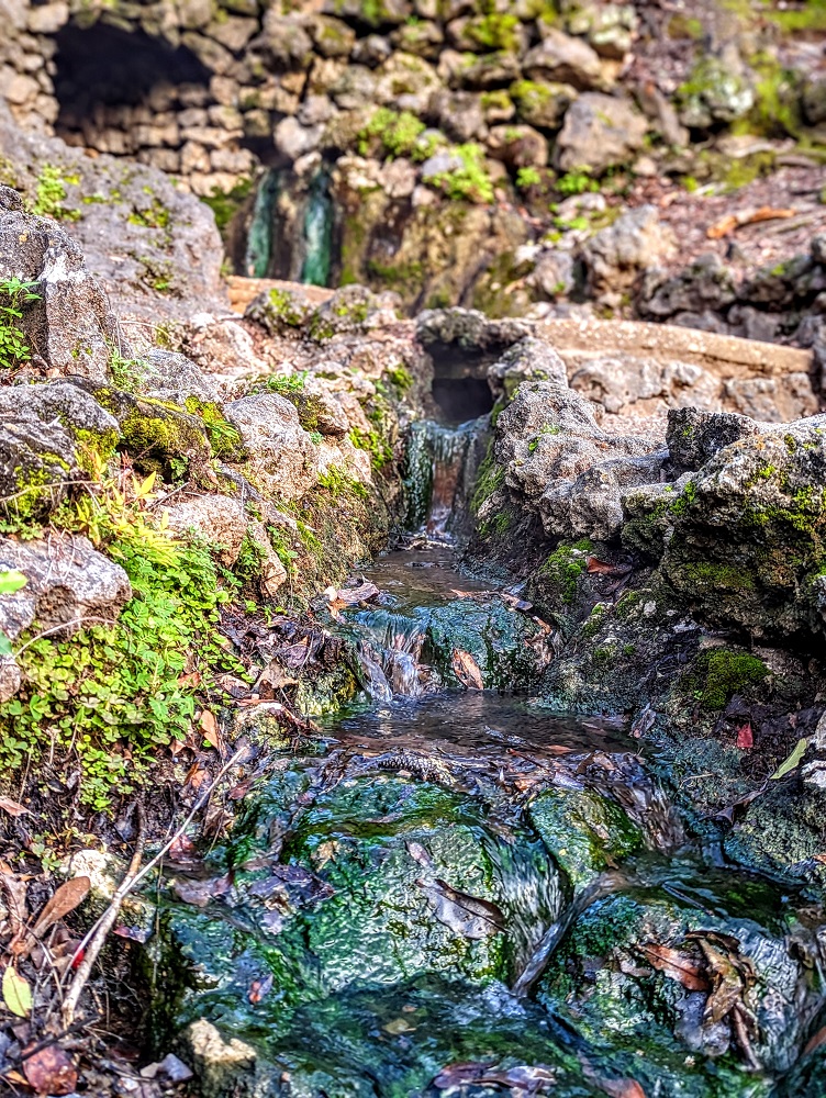 Open Springs in Hot Springs, AR
