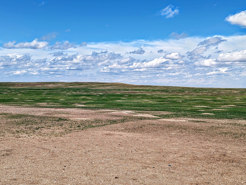 Badlands National Park - Prairie dog mounds
