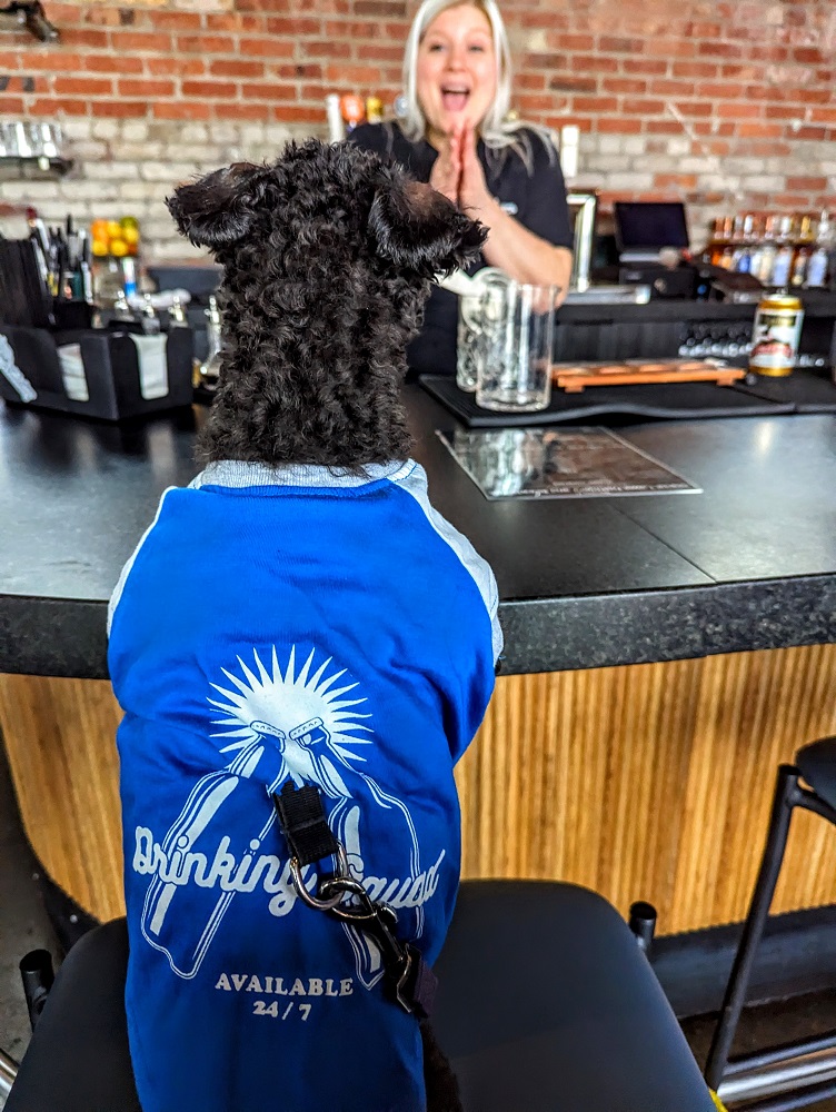 Dog-friendly Glacial Lakes Distillery and Brewhouse in Sioux Falls, SD