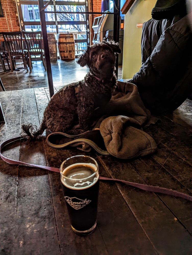Dog-friendly Remedy Brewing Co in Sioux Falls, SD