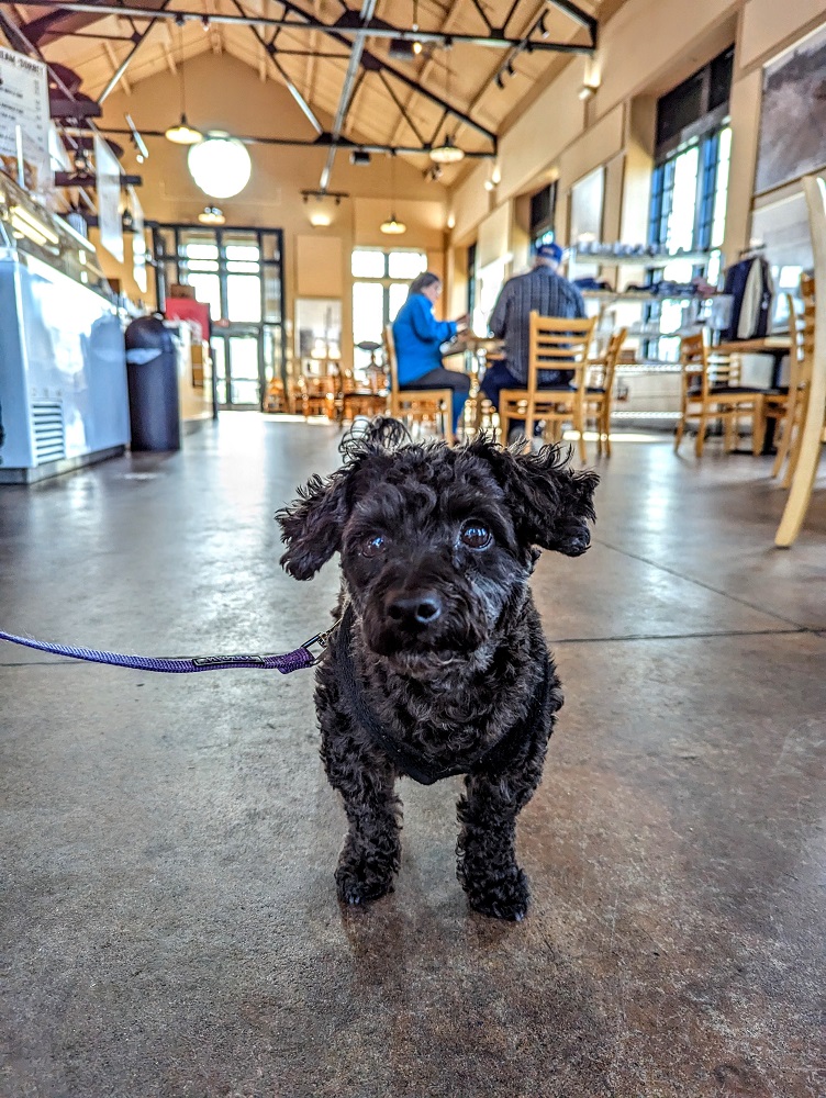 Falls Overlook Cafe in Sioux Falls, SD pet-friendly