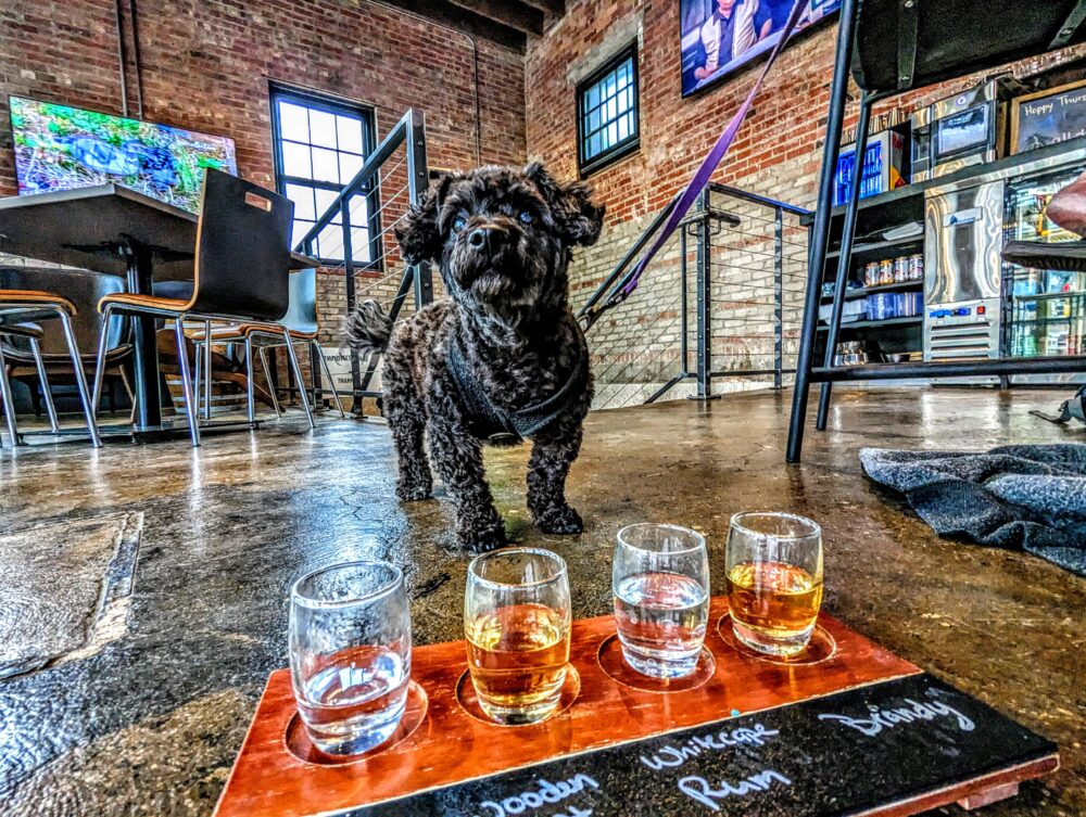 Glacial Lakes Distillery and Brewhouse in Sioux Falls pet-friendly