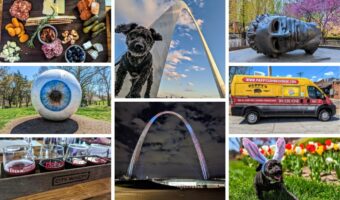 Things To Do In St Louis MO