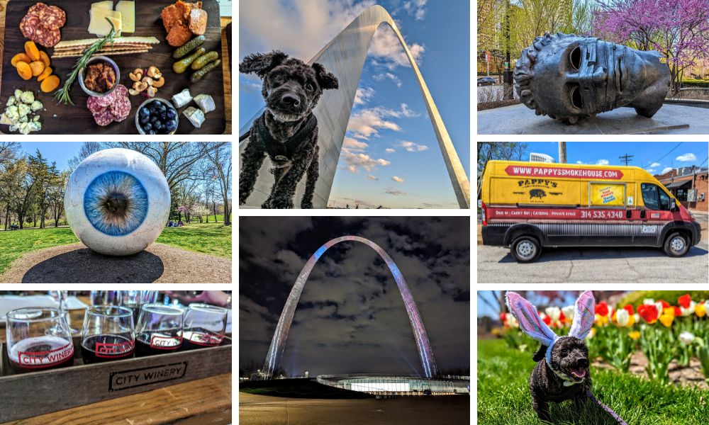 Things To Do In St Louis MO