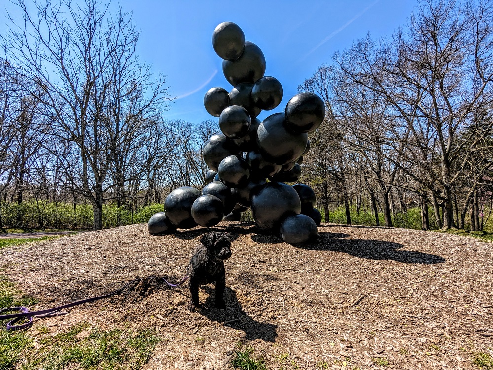 Truffles at Laumeier Sculpture Park