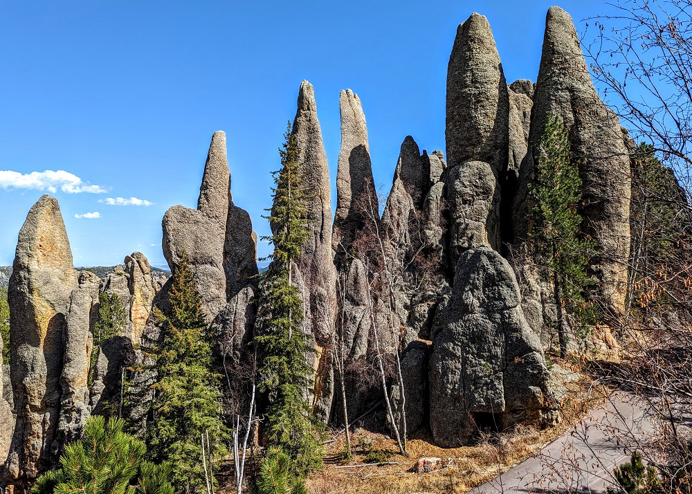 Custer State Park - Cathedral Spires