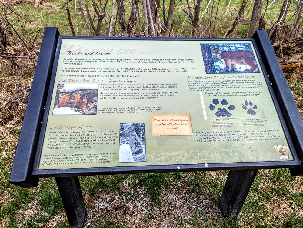 Information board along the Spearfish Falls trail