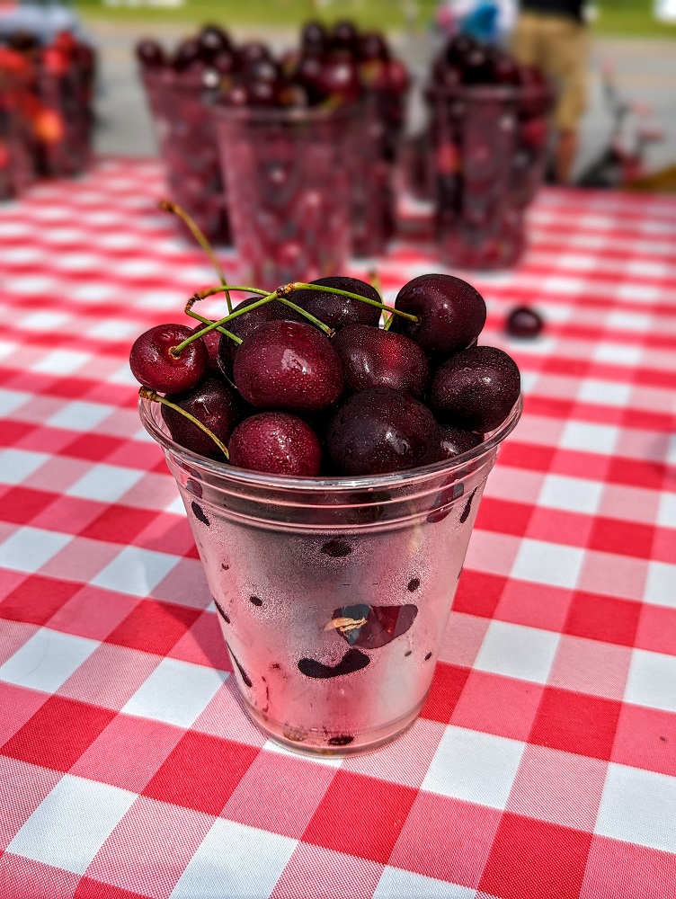 Cherries at the Traverse City Cherry Festival