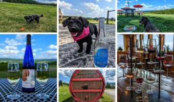 7 pet-friendly wineries in Finger Lakes NY dogs allowed