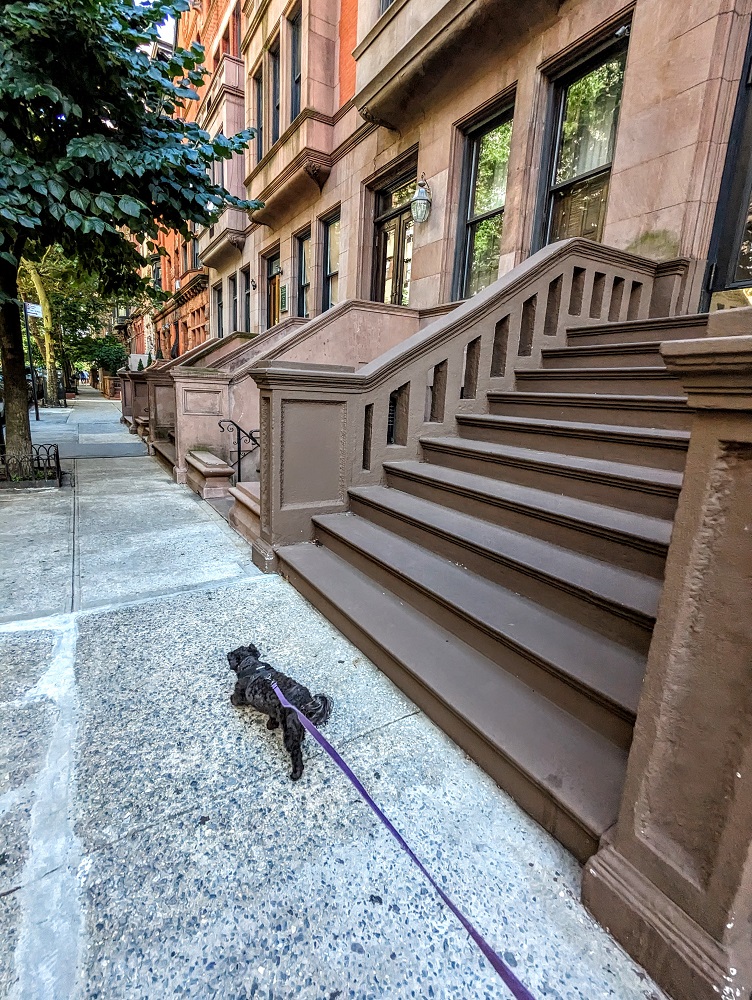 Exploring the brownstones of New York