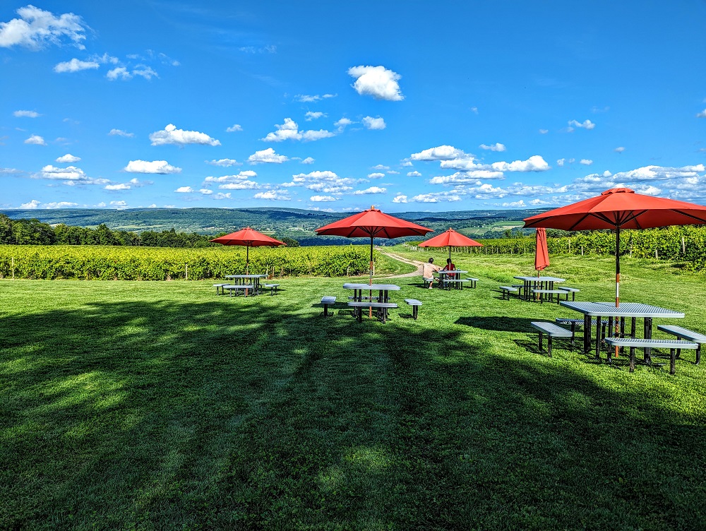 Lakewood Vineyards in Watkins Glen, NY - Outdoor seating