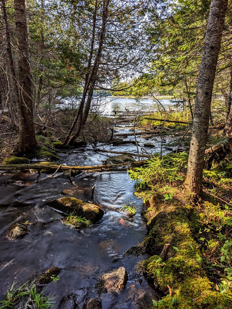 Lily Bay State Park, Maine - Stream