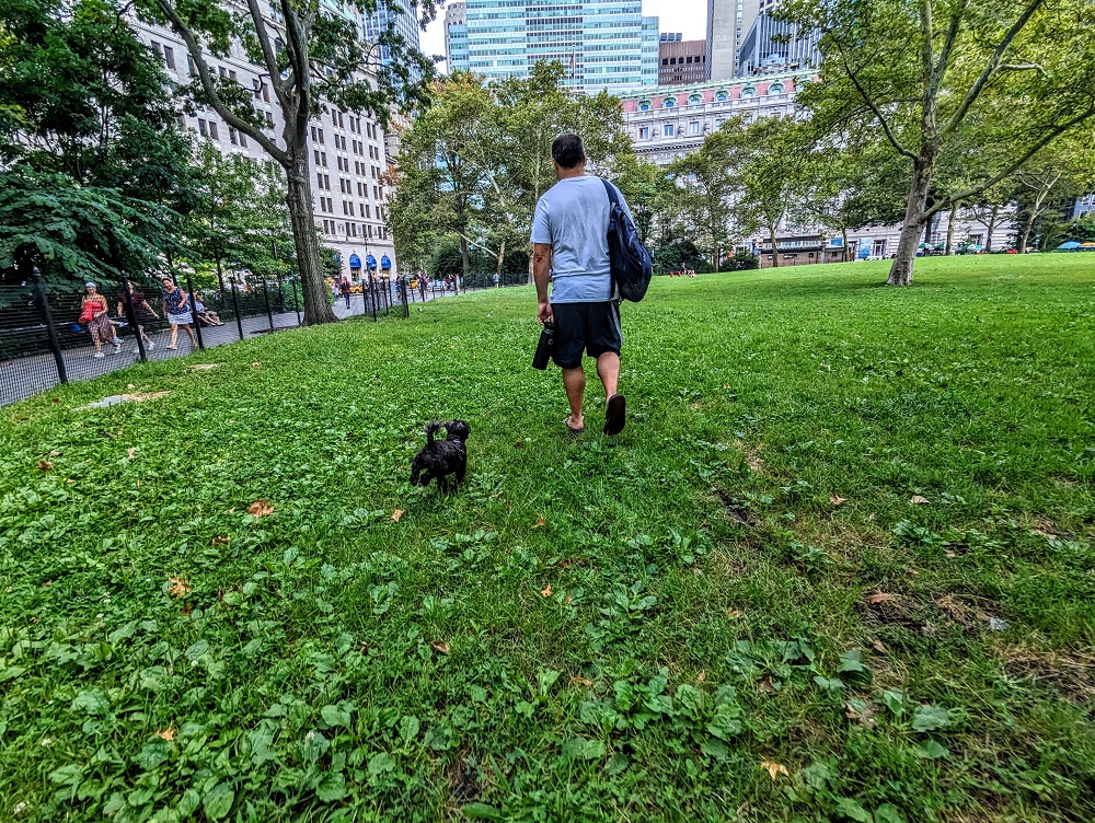 Off-leash dog area in The Battery, NYC