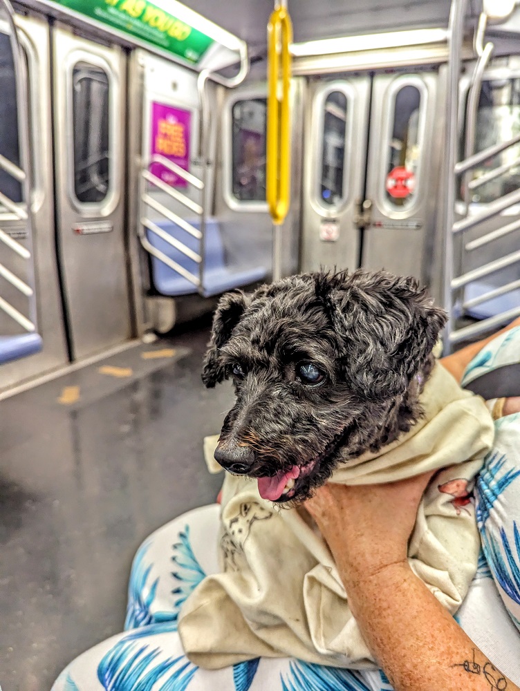 Truffles on the subway