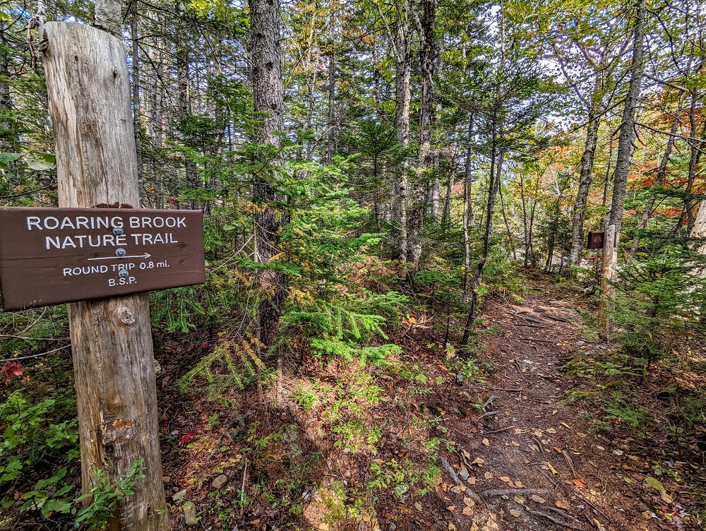 Baxter State Park - Start of the Roaring Brook Nature Trail