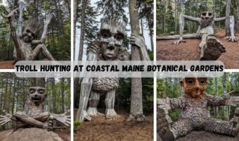 Troll Hunting At Coastal Maine Botanical Gardens