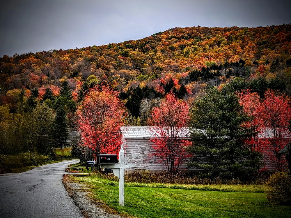 Fall leaves in Vermont